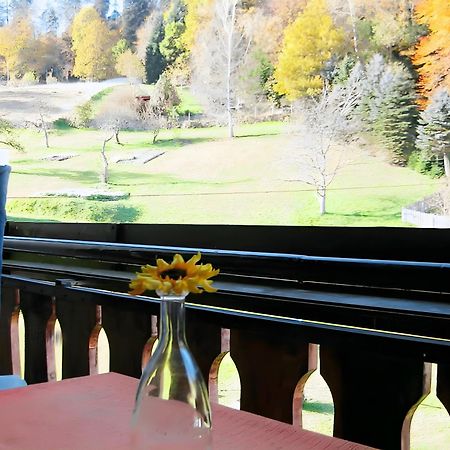 Apartmán Haus Muehlgrund Bad Wildbad Exteriér fotografie