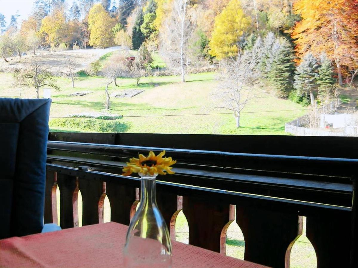 Apartmán Haus Muehlgrund Bad Wildbad Exteriér fotografie