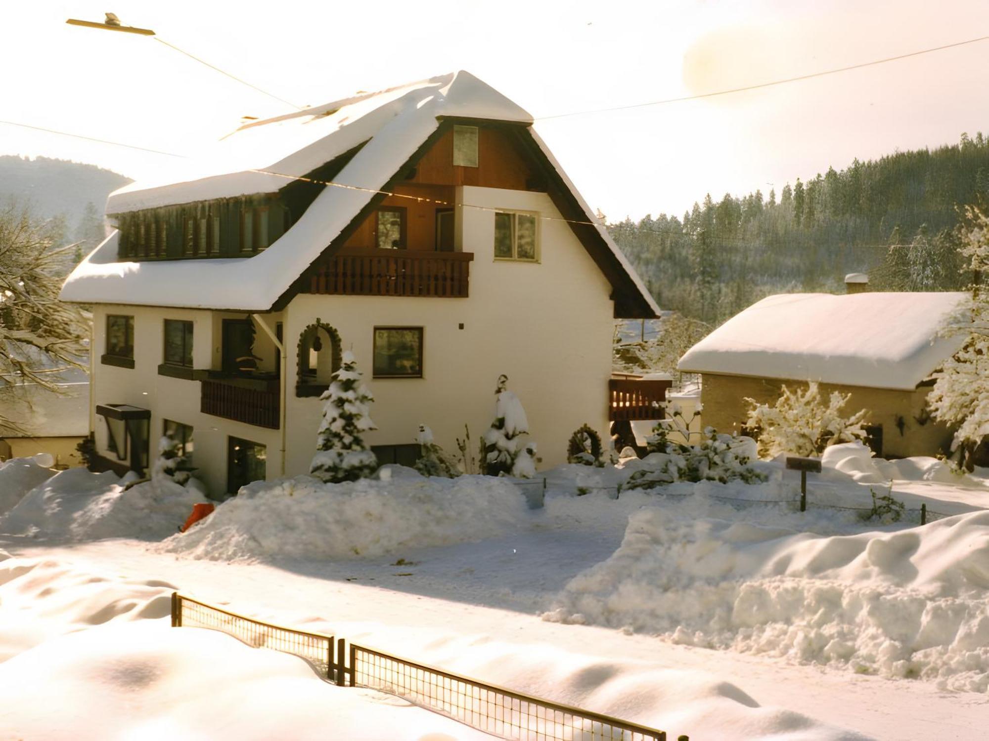 Apartmán Haus Muehlgrund Bad Wildbad Exteriér fotografie