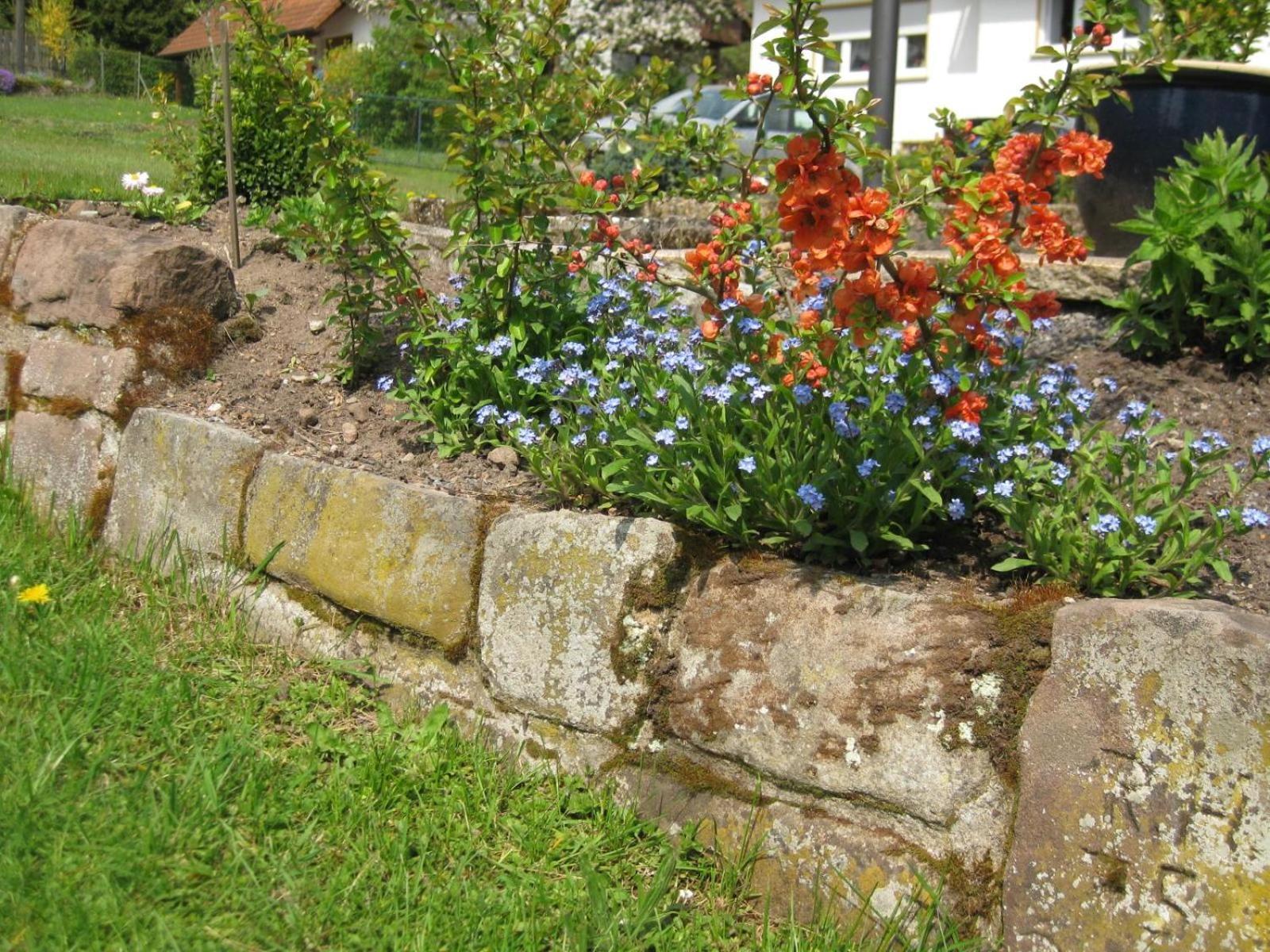 Apartmán Haus Muehlgrund Bad Wildbad Exteriér fotografie