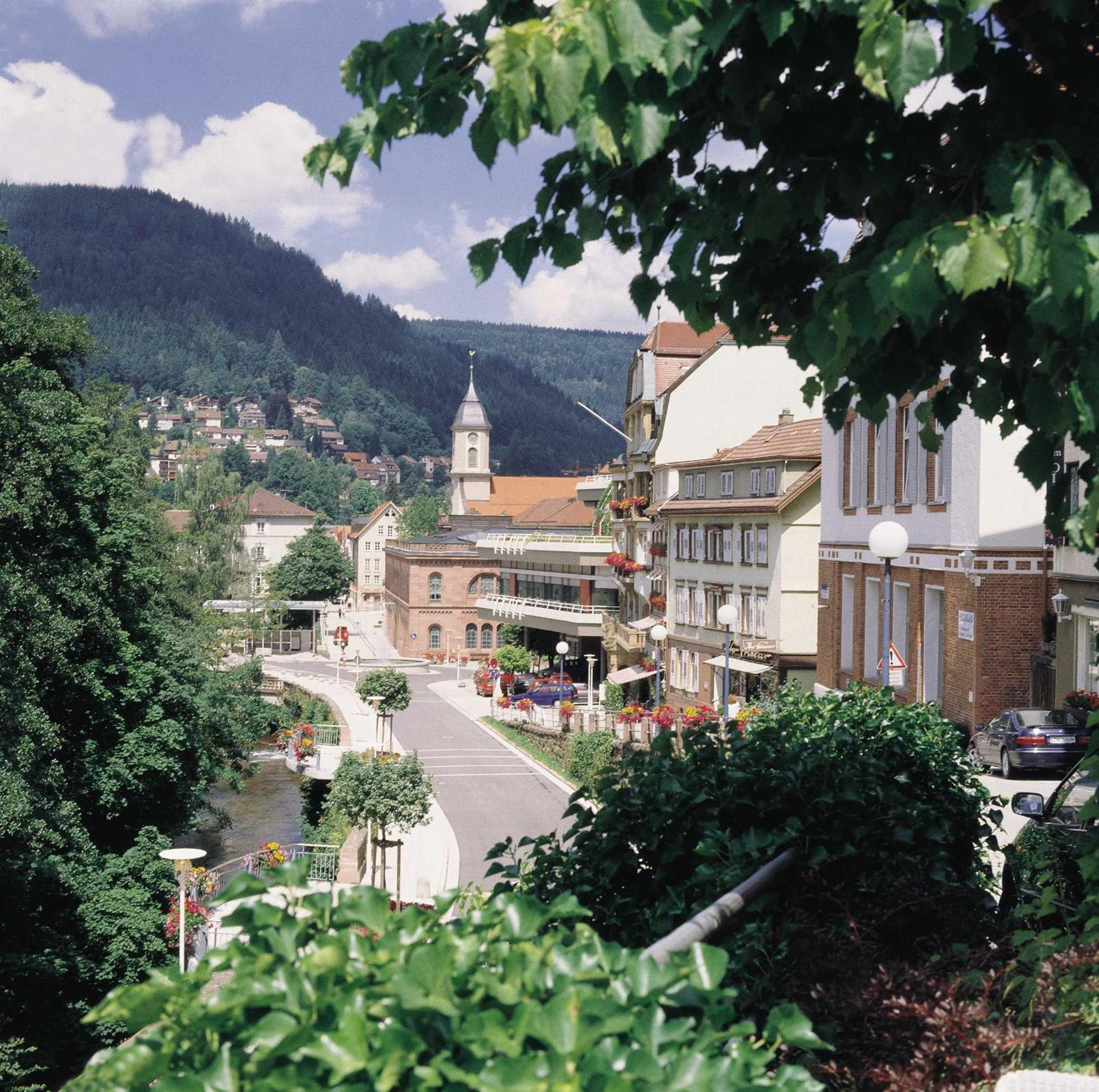 Apartmán Haus Muehlgrund Bad Wildbad Exteriér fotografie