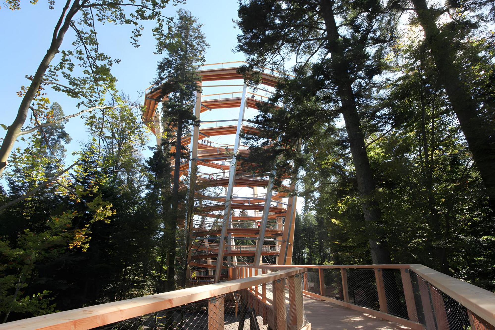 Apartmán Haus Muehlgrund Bad Wildbad Exteriér fotografie