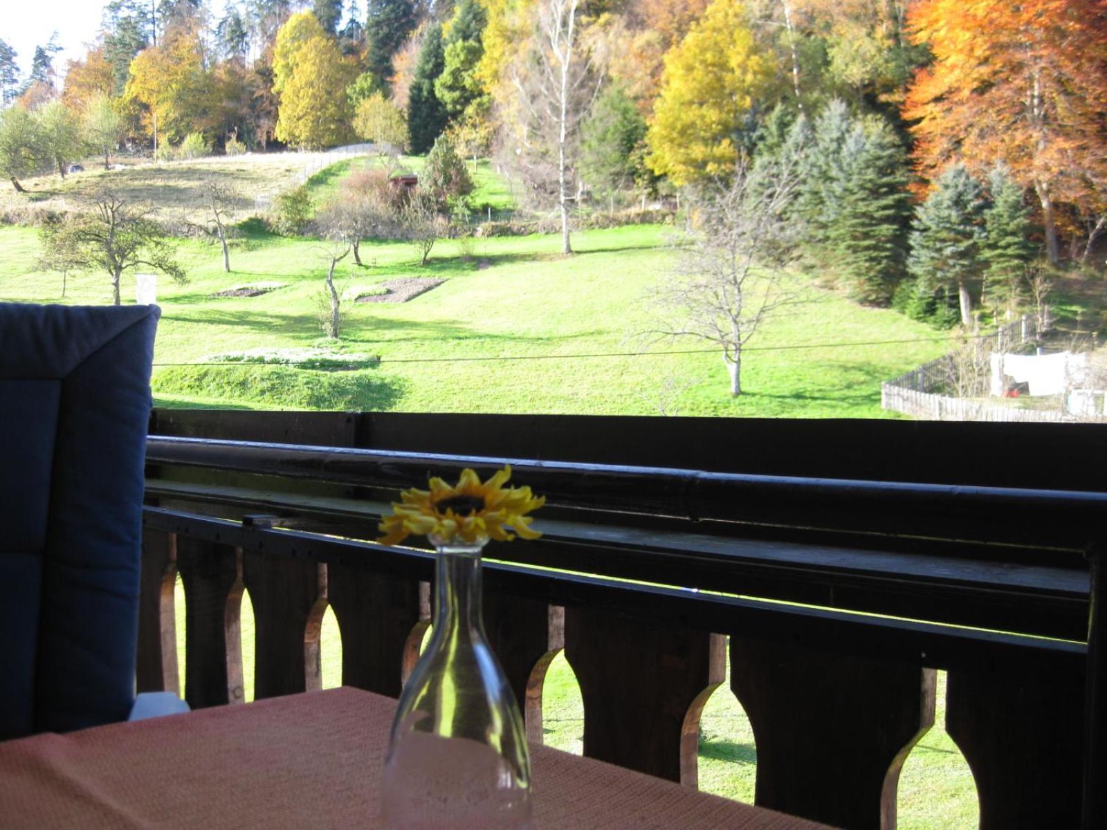 Apartmán Haus Muehlgrund Bad Wildbad Exteriér fotografie